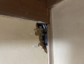 line_oa_chat_251117_181234_group_4